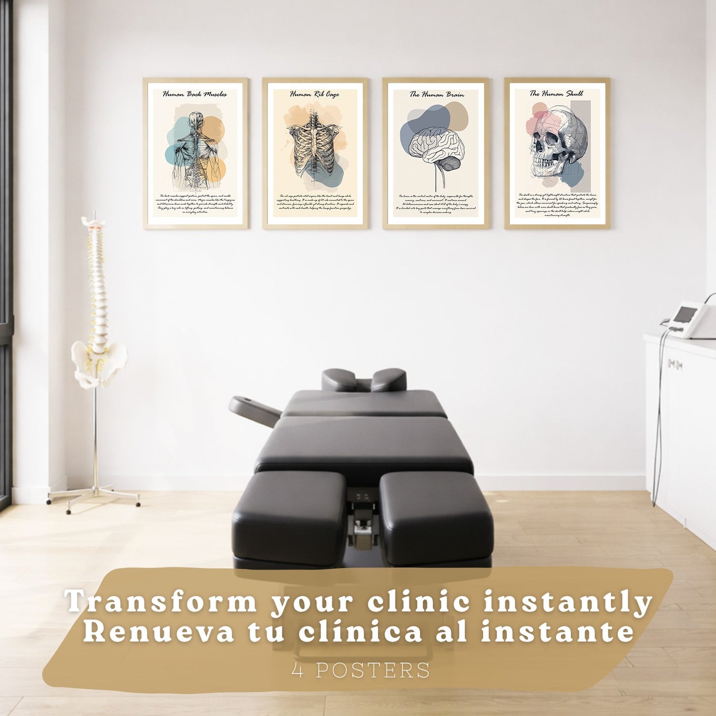Set 4 Posters y Cuadros de Anatomía Humana Láminas con Corazón Cerebro Cráneo Pulmones Tráquea Bronquios Estilo Floral Dorado Decoración