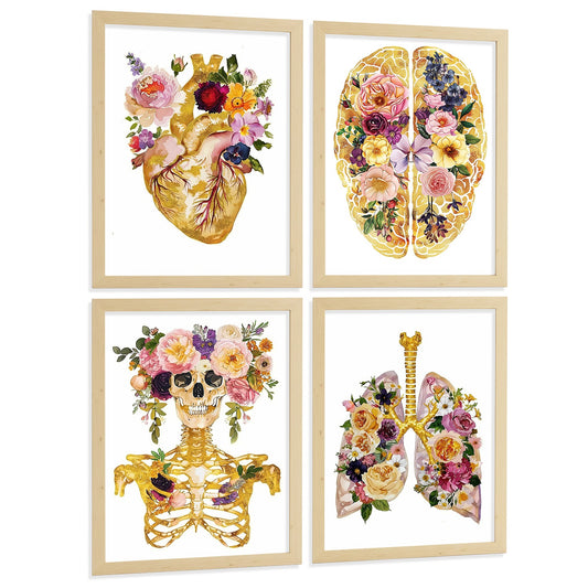 Set 4 Posters y Cuadros de Anatomía Humana Láminas con Corazón Cerebro Cráneo Pulmones Tráquea Bronquios Estilo Floral Dorado Decoración