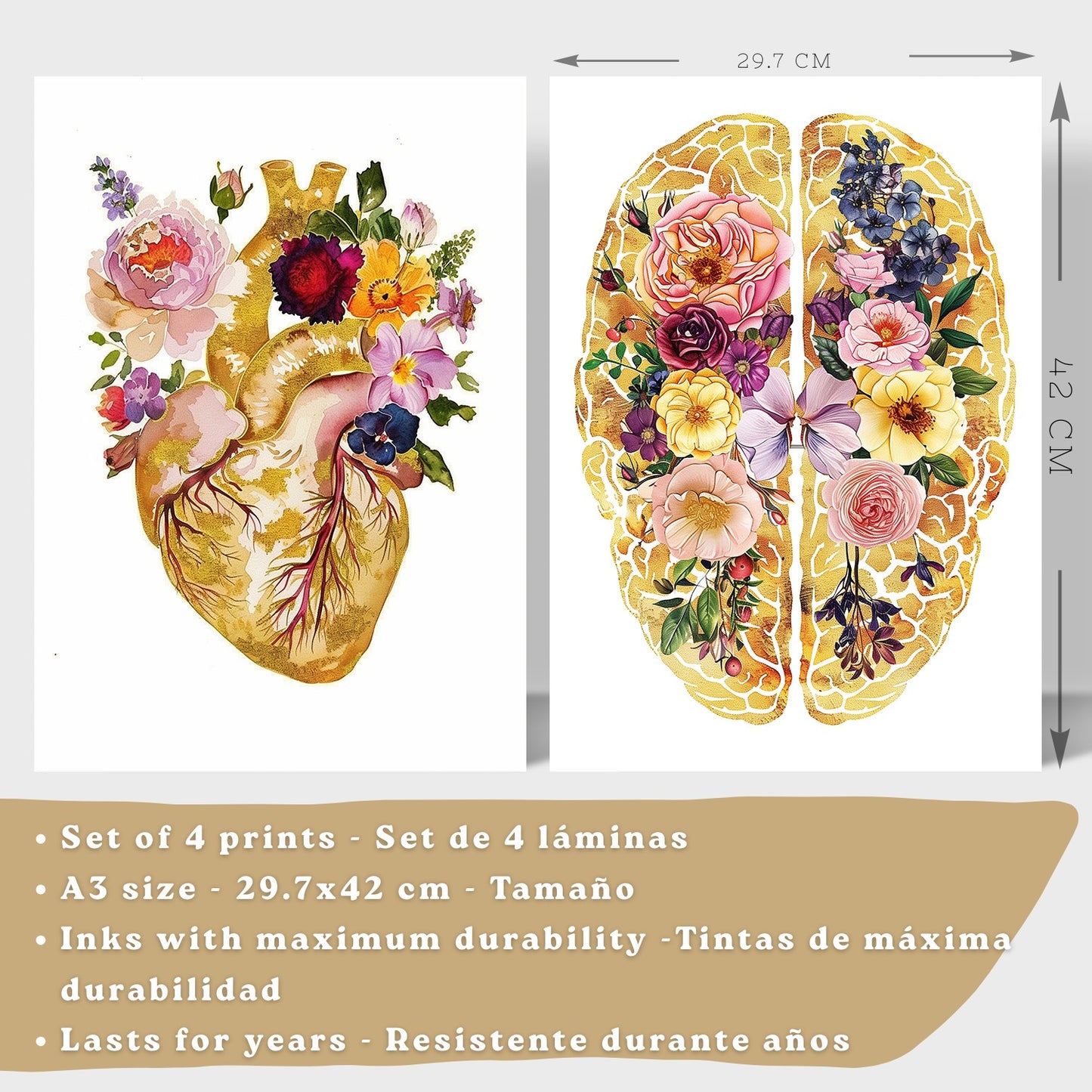 Set 4 Posters y Cuadros de Anatomía Humana Láminas con Corazón Cerebro Cráneo Pulmones Tráquea Bronquios Estilo Floral Dorado Decoración