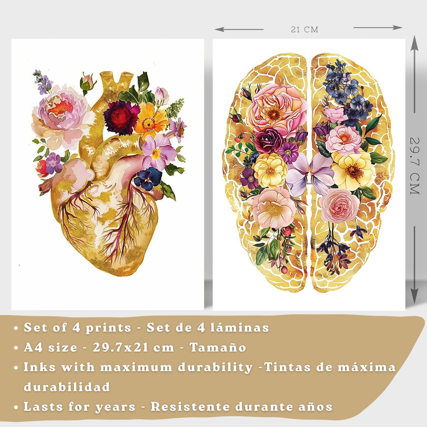 Set 4 Posters y Cuadros de Anatomía Humana Láminas con Corazón Cerebro Cráneo Pulmones Tráquea Bronquios Estilo Floral Dorado Decoración