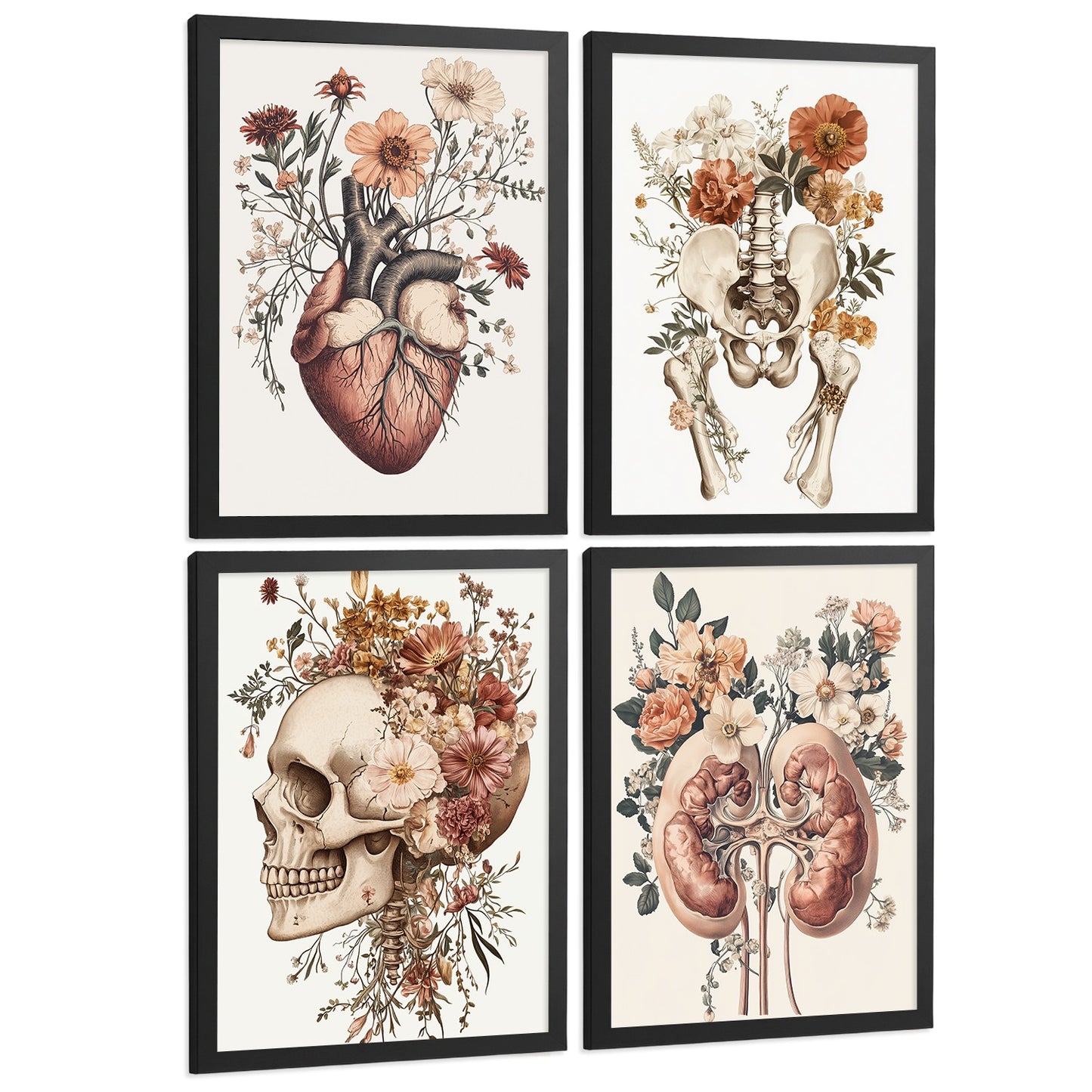 Set 4 Posters de Anatomía Láminas Decorativas con Corazón Riñones Cráneo y Pelvis Estilo Botánico Elegante