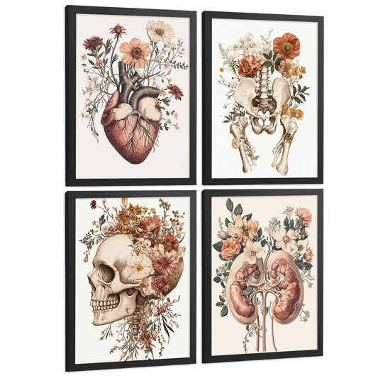 Set 4 Posters de Anatomía Láminas Decorativas con Corazón Riñones Cráneo y Pelvis Estilo Botánico Elegante