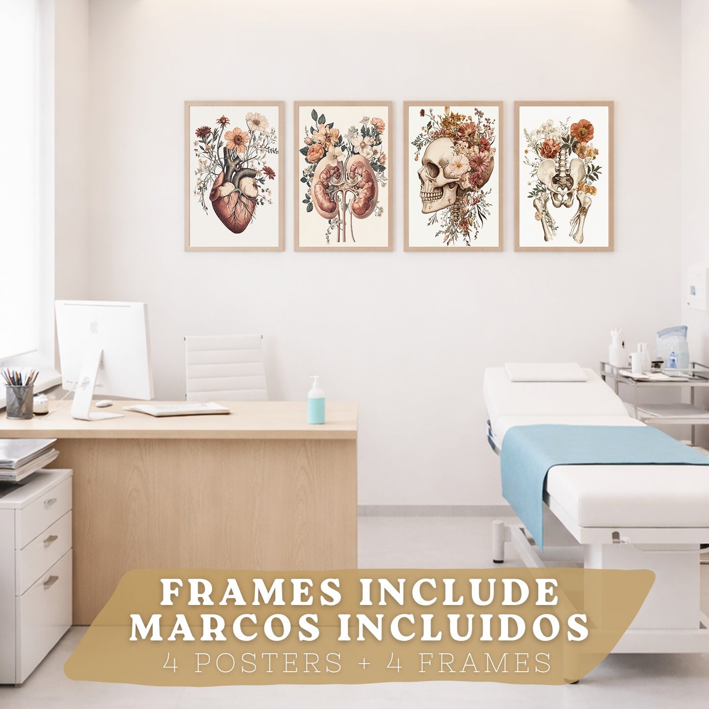 Set 4 Posters de Anatomía Láminas Decorativas con Corazón Riñones Cráneo y Pelvis Estilo Botánico Elegante