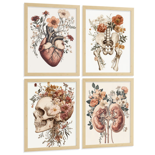 Set 4 Posters de Anatomía Láminas Decorativas con Corazón Riñones Cráneo y Pelvis Estilo Botánico Elegante