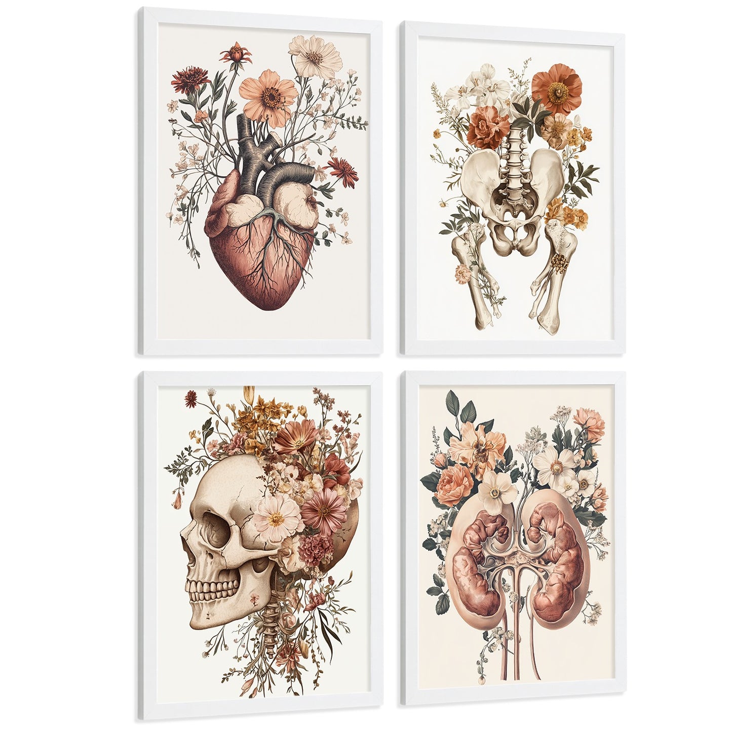 Set 4 Posters de Anatomía Láminas Decorativas con Corazón Riñones Cráneo y Pelvis Estilo Botánico Elegante