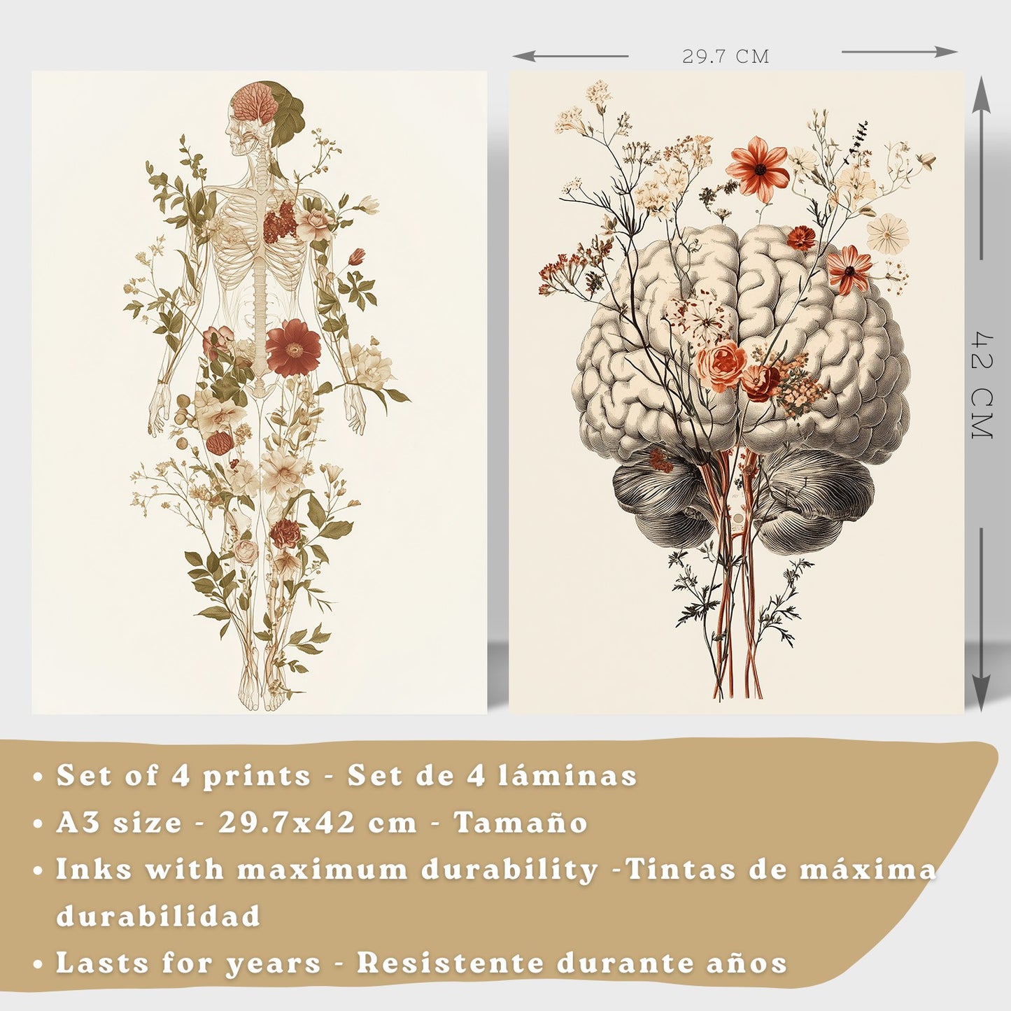 Set 4 Posters Decorativos de Anatomía Humana con Flores Láminas Modernas de Cuerpo Completo Cerebro Mano y Corazón