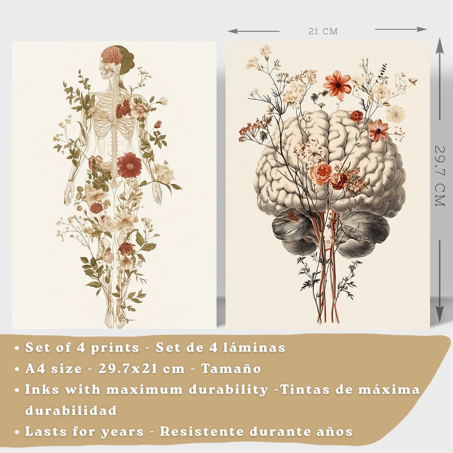 Set 4 Posters Decorativos de Anatomía Humana con Flores Láminas Modernas de Cuerpo Completo Cerebro Mano y Corazón