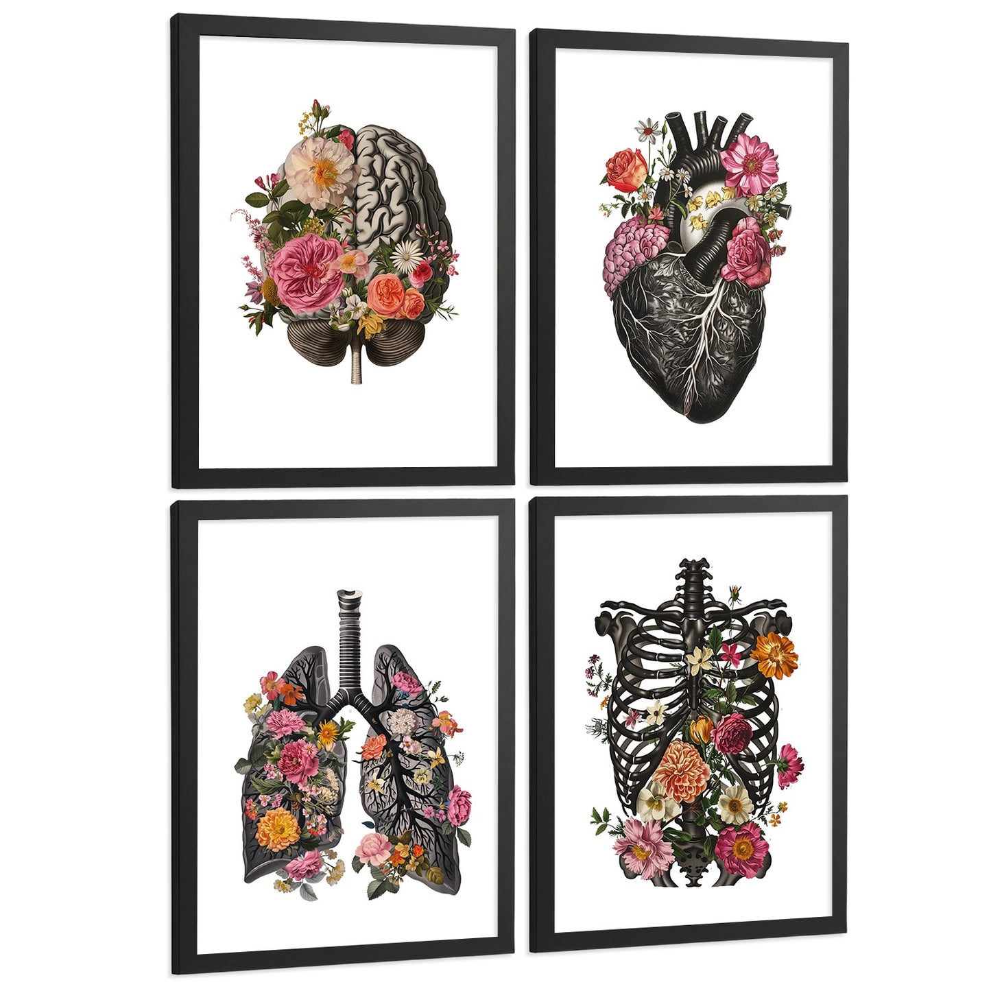Set de 4 Láminas Decorativas Anatomía Posters y Cuadros con Cerebro Corazón Pulmones Sistema Respiratorio Costillas Columna Vertebral Diseño Floral Moderno