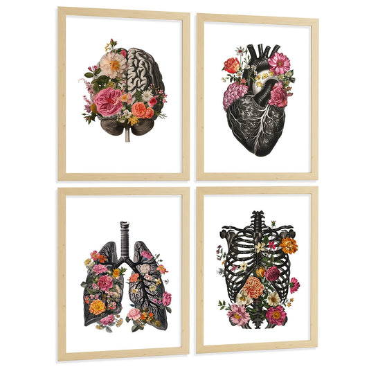 Set de 4 Láminas Decorativas Anatomía Posters y Cuadros con Cerebro Corazón Pulmones Sistema Respiratorio Costillas Columna Vertebral Diseño Floral Moderno