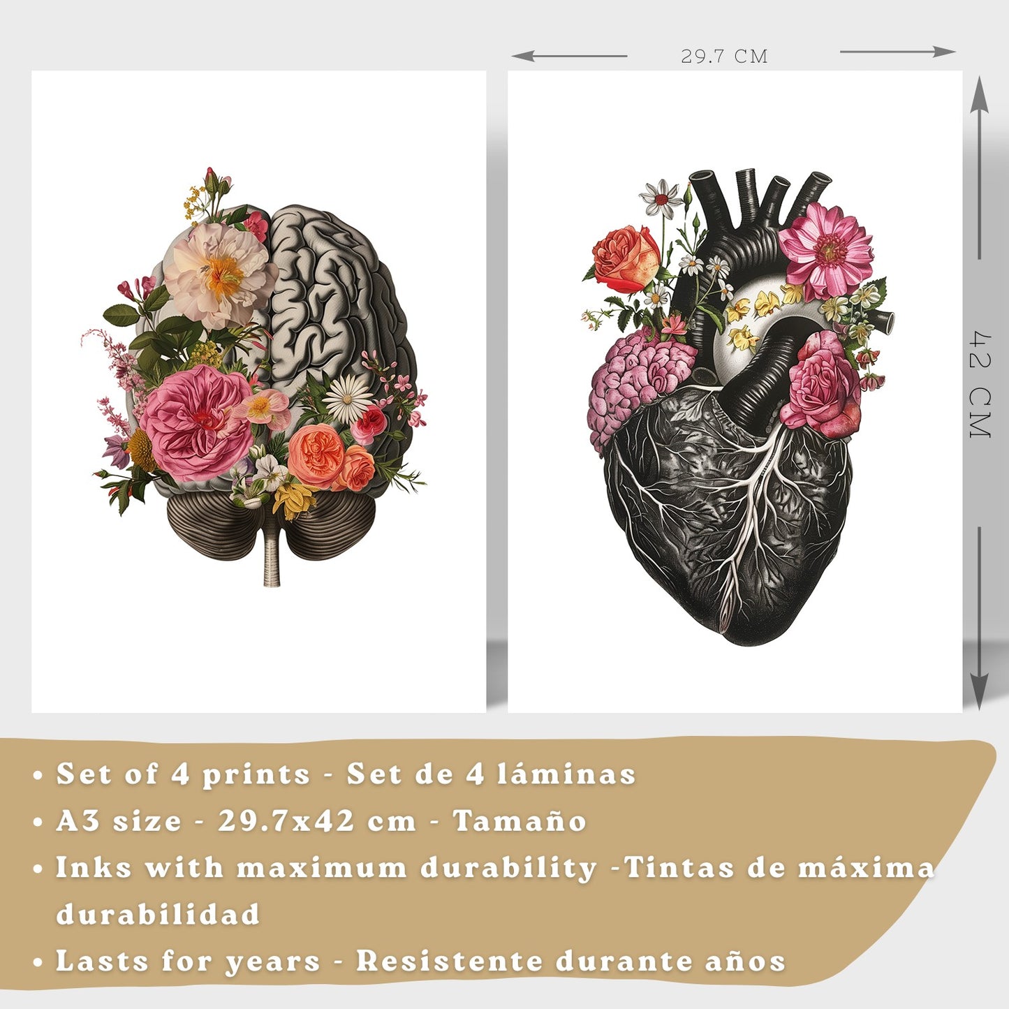 Set de 4 Láminas Decorativas Anatomía Posters y Cuadros con Cerebro Corazón Pulmones Sistema Respiratorio Costillas Columna Vertebral Diseño Floral Moderno