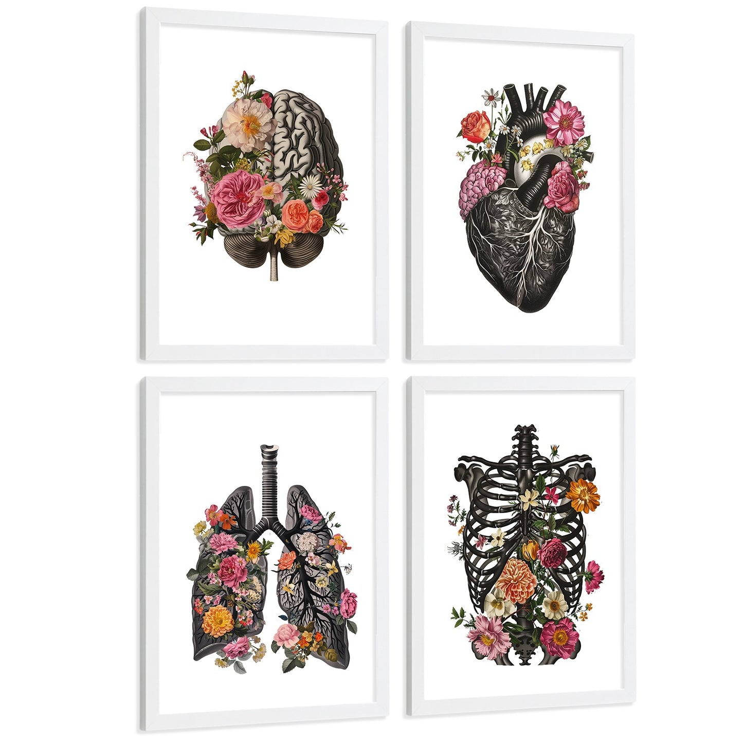 Set de 4 Láminas Decorativas Anatomía Posters y Cuadros con Cerebro Corazón Pulmones Sistema Respiratorio Costillas Columna Vertebral Diseño Floral Moderno