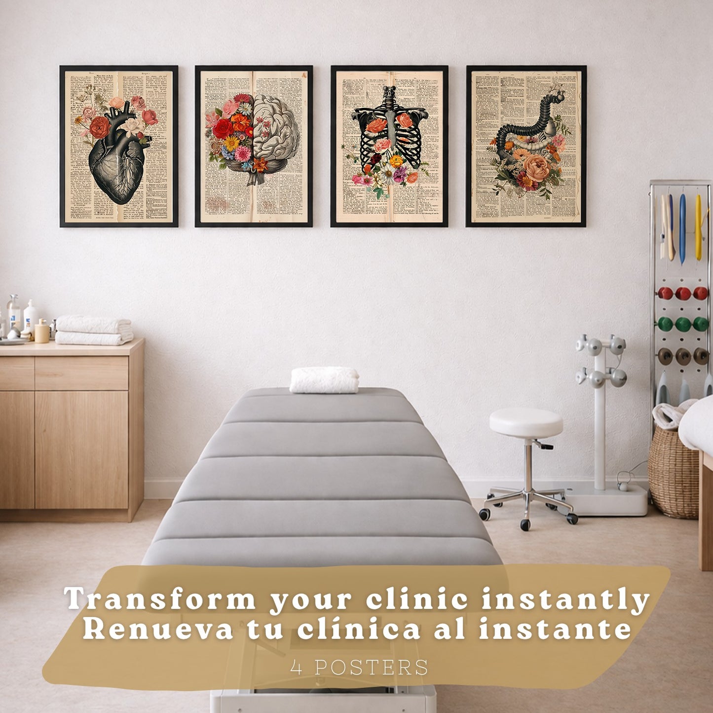 Set 4 Cuadros de Anatomía Láminas con Corazón, Cerebro, Esqueleto y Intestinos Fondo Antiguo