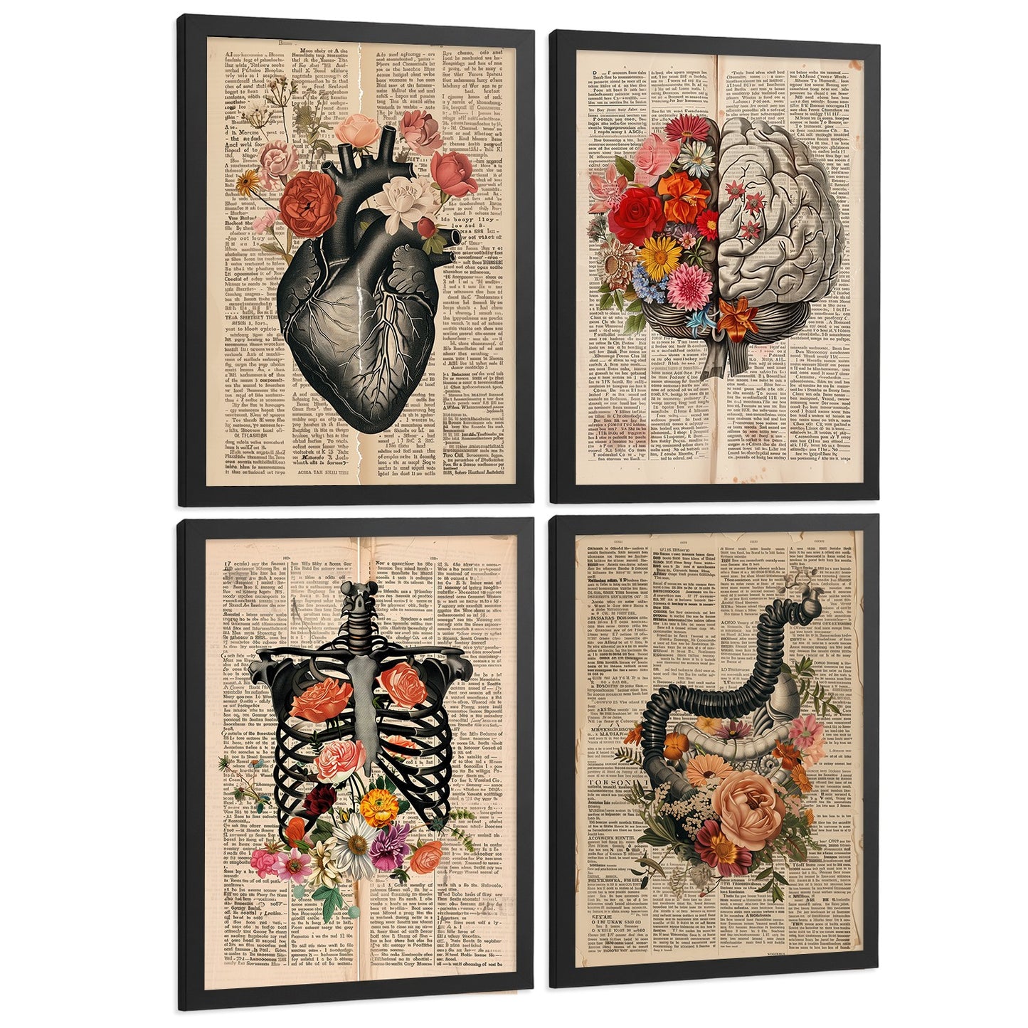 Set 4 Cuadros de Anatomía Láminas con Corazón, Cerebro, Esqueleto y Intestinos Fondo Antiguo