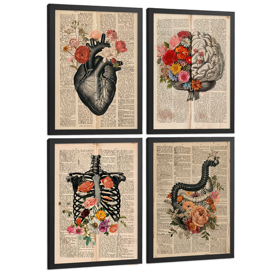 Set 4 Cuadros de Anatomía Láminas con Corazón, Cerebro, Esqueleto y Intestinos Fondo Antiguo