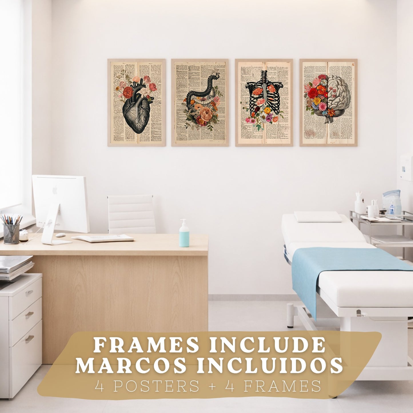 Set 4 Cuadros de Anatomía Láminas con Corazón, Cerebro, Esqueleto y Intestinos Fondo Antiguo