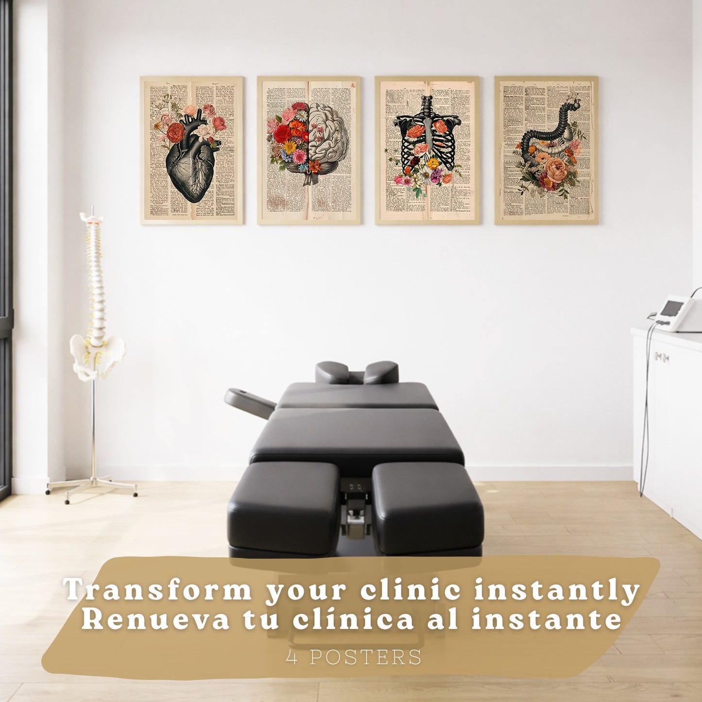 Set 4 Cuadros de Anatomía Láminas con Corazón, Cerebro, Esqueleto y Intestinos Fondo Antiguo