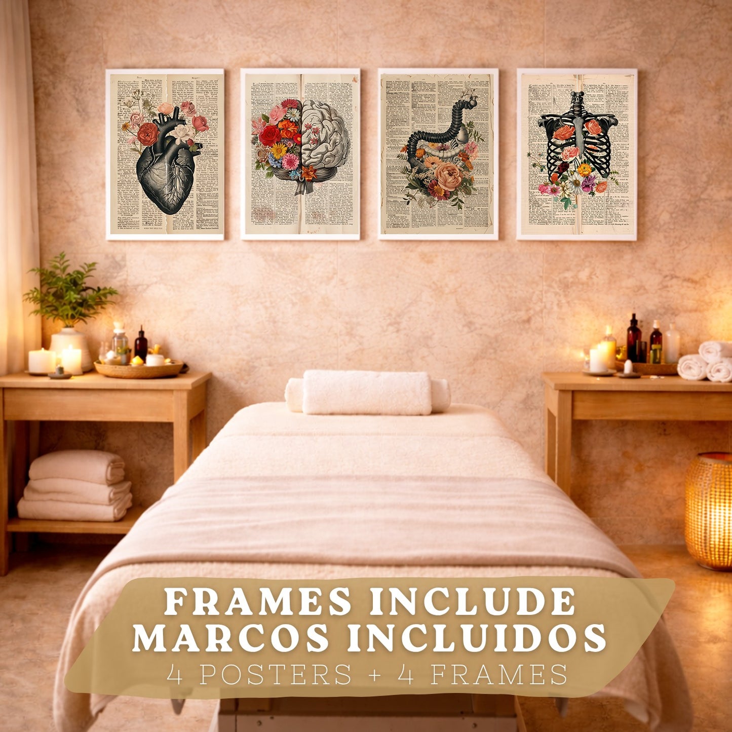 Set 4 Cuadros de Anatomía Láminas con Corazón, Cerebro, Esqueleto y Intestinos Fondo Antiguo