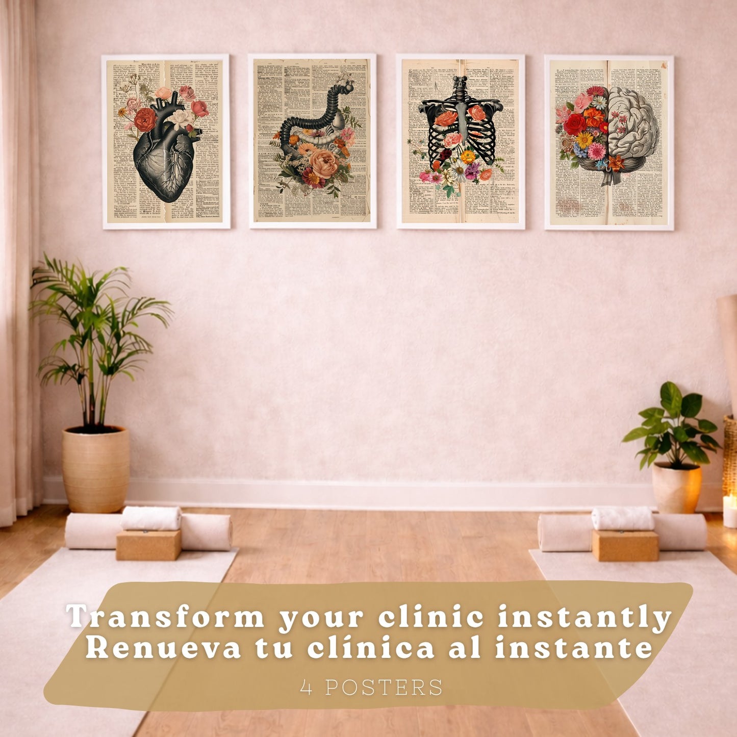 Set 4 Cuadros de Anatomía Láminas con Corazón, Cerebro, Esqueleto y Intestinos Fondo Antiguo