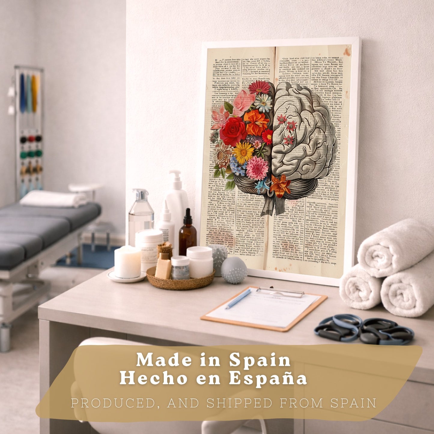 Set 4 Cuadros de Anatomía Láminas con Corazón, Cerebro, Esqueleto y Intestinos Fondo Antiguo