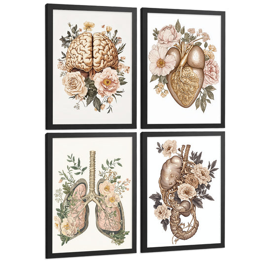 Set 4 Posters de Cuerpo Humano Vintage Láminas y Cuadros con Cerebro Corazón Pulmones Tráquea Bronquios Riñones Sistema Digestivo Estómago Intestinos Decoración