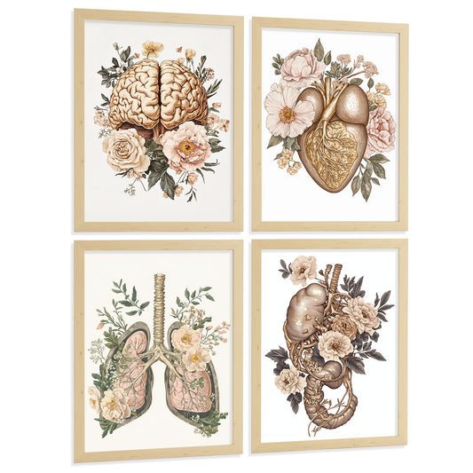 Set 4 Posters de Cuerpo Humano Vintage Láminas y Cuadros con Cerebro Corazón Pulmones Tráquea Bronquios Riñones Sistema Digestivo Estómago Intestinos Decoración