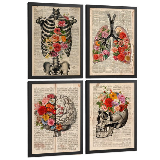 Set 4 Láminas de Anatomía Humana Vintage Posters y Cuadros Decorativos con Costillas Columna Vertebral Pulmones Tráquea Bronquios Cerebro y Cráneo