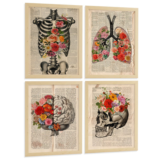 Set 4 Láminas de Anatomía Humana Vintage Posters y Cuadros Decorativos con Costillas Columna Vertebral Pulmones Tráquea Bronquios Cerebro y Cráneo