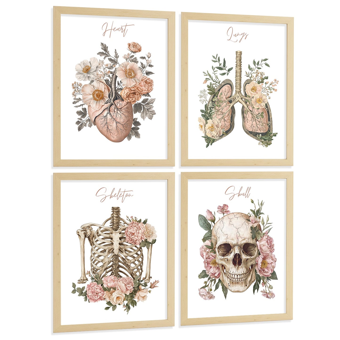Set 4 Cuadros de Anatomía Humana Láminas Florales con Corazón Pulmones Esqueleto y Cráneo Estilo Moderno Elegante