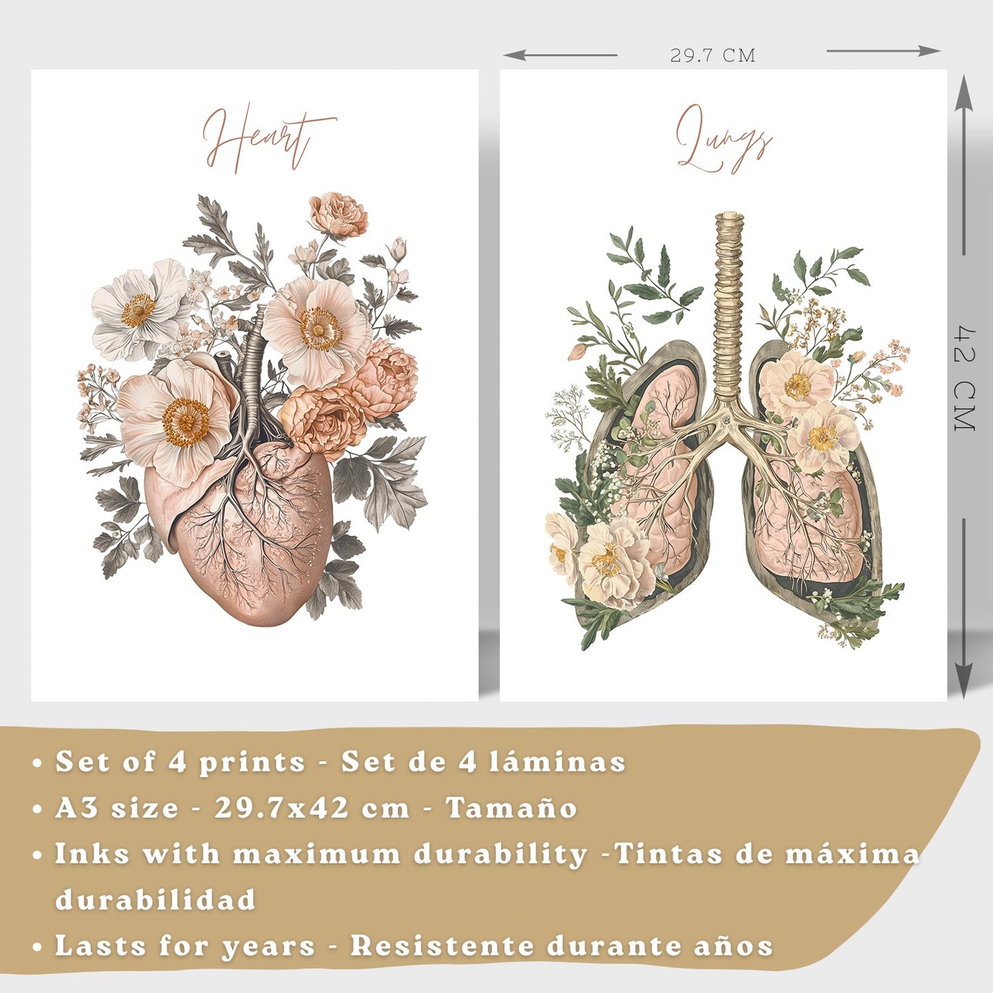 Set 4 Cuadros de Anatomía Humana Láminas Florales con Corazón Pulmones Esqueleto y Cráneo Estilo Moderno Elegante