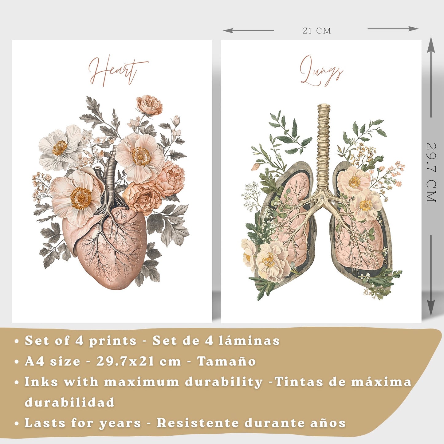 Set 4 Cuadros de Anatomía Humana Láminas Florales con Corazón Pulmones Esqueleto y Cráneo Estilo Moderno Elegante