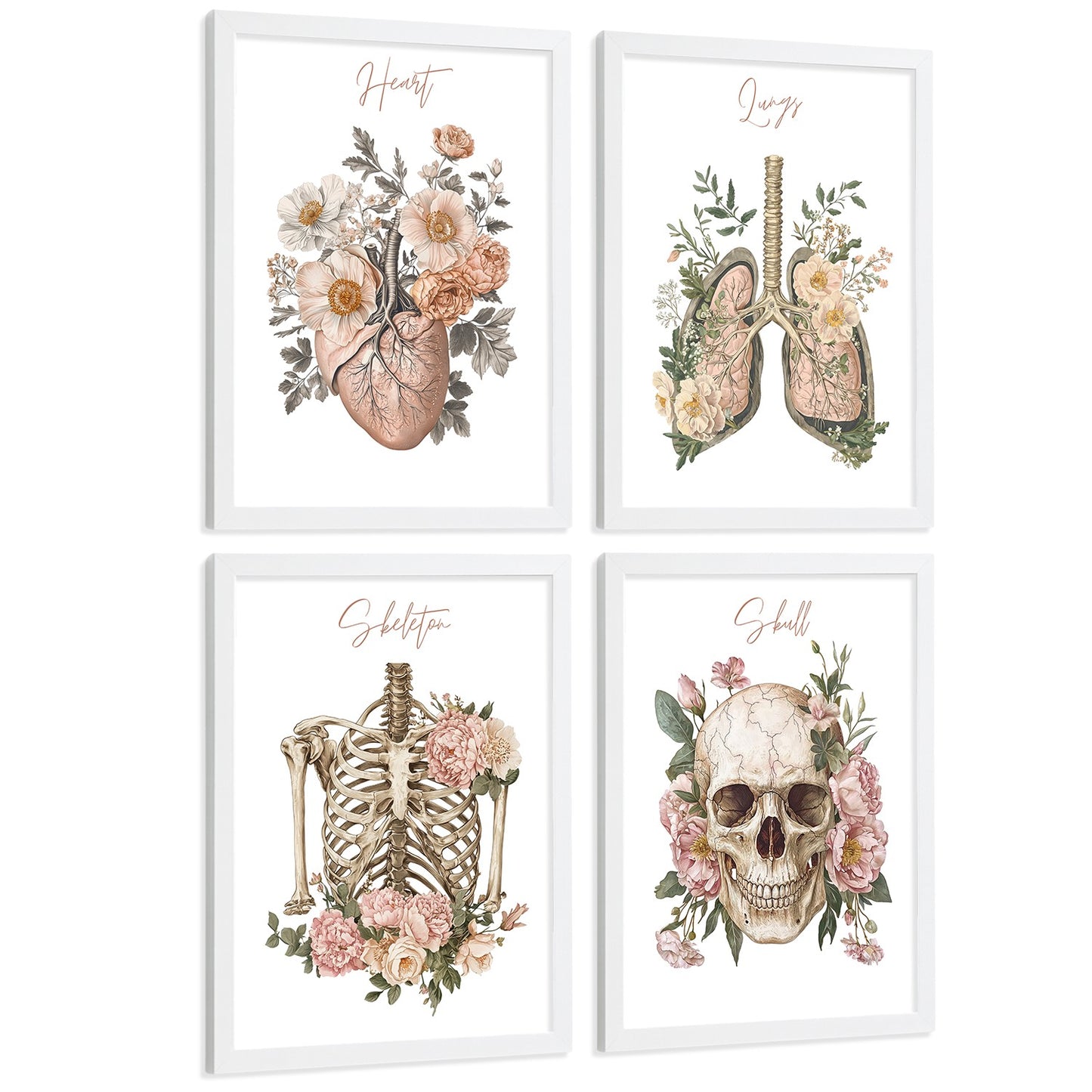 Set 4 Cuadros de Anatomía Humana Láminas Florales con Corazón Pulmones Esqueleto y Cráneo Estilo Moderno Elegante