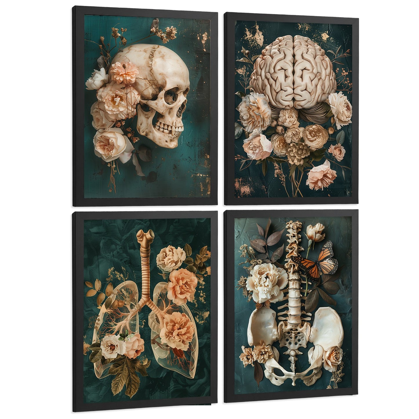 Set 4 Cuadros Decorativos de Anatomía Humana Láminas y Posters con Cráneo Cerebro Pulmones Tráquea Bronquios Pelvis Columna Diseño Floral Elegante