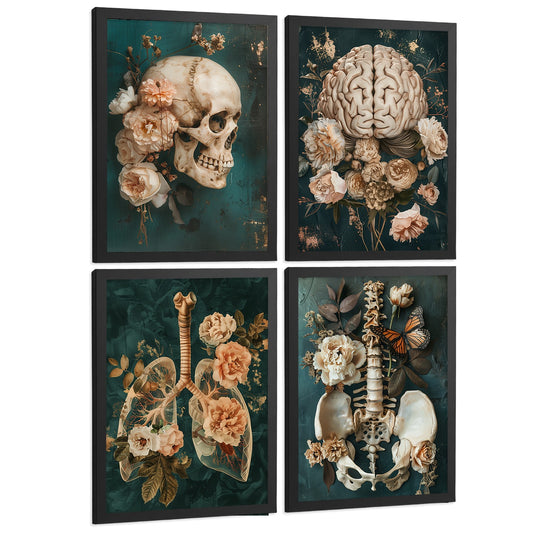 Set 4 Cuadros Decorativos de Anatomía Humana Láminas y Posters con Cráneo Cerebro Pulmones Tráquea Bronquios Pelvis Columna Diseño Floral Elegante