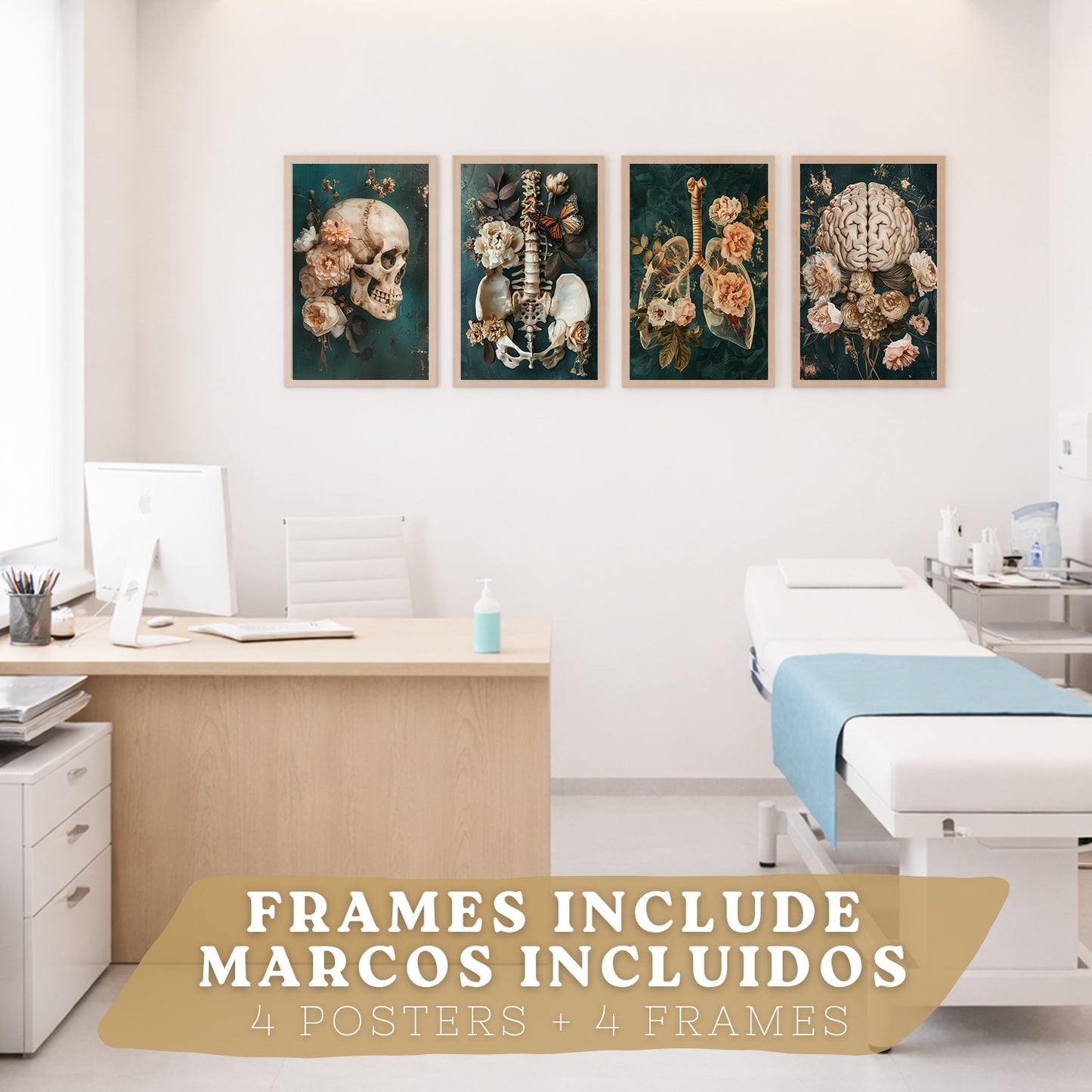 Set 4 Cuadros Decorativos de Anatomía Humana Láminas y Posters con Cráneo Cerebro Pulmones Tráquea Bronquios Pelvis Columna Diseño Floral Elegante