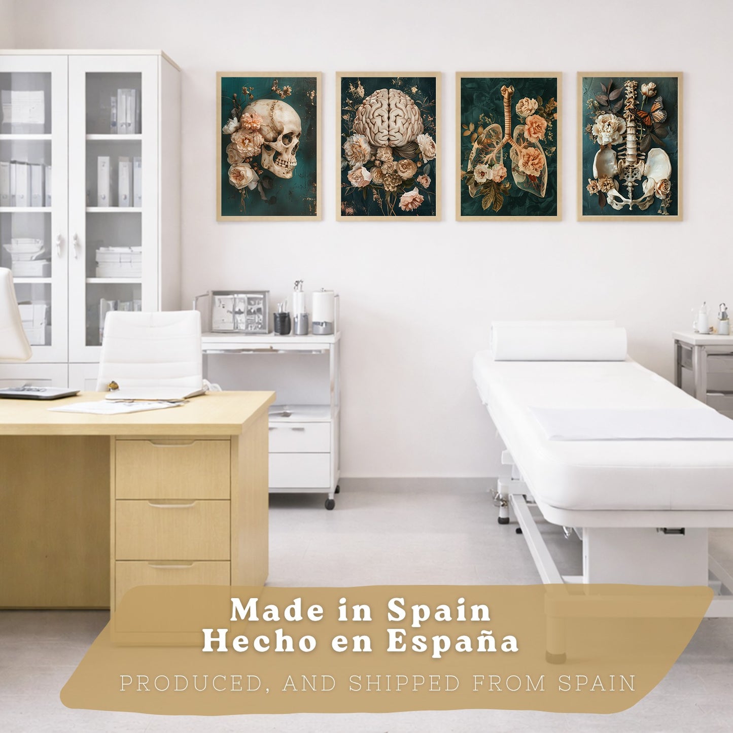 Set 4 Cuadros Decorativos de Anatomía Humana Láminas y Posters con Cráneo Cerebro Pulmones Tráquea Bronquios Pelvis Columna Diseño Floral Elegante