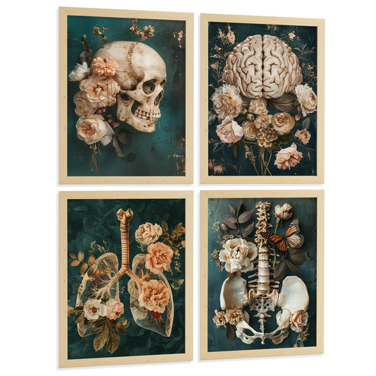 Set 4 Cuadros Decorativos de Anatomía Humana Láminas y Posters con Cráneo Cerebro Pulmones Tráquea Bronquios Pelvis Columna Diseño Floral Elegante