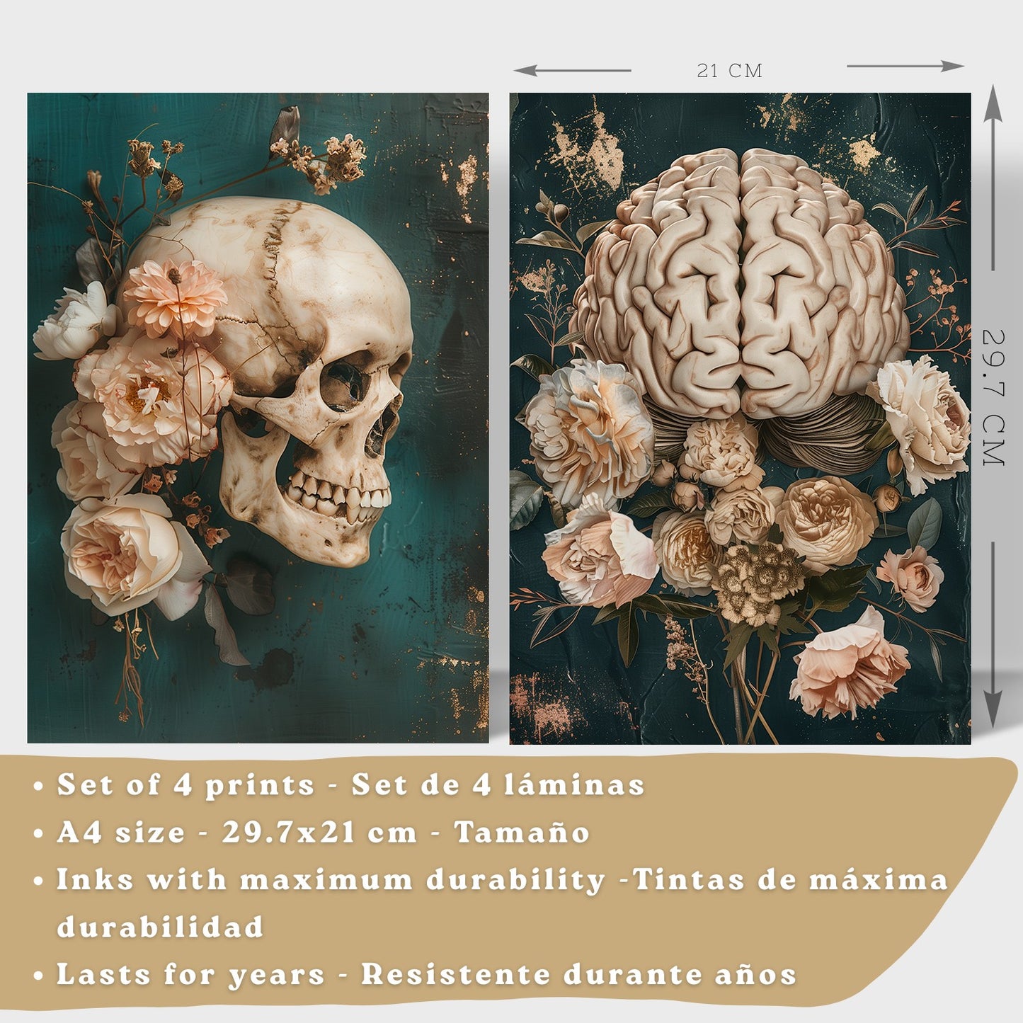 Set 4 Cuadros Decorativos de Anatomía Humana Láminas y Posters con Cráneo Cerebro Pulmones Tráquea Bronquios Pelvis Columna Diseño Floral Elegante