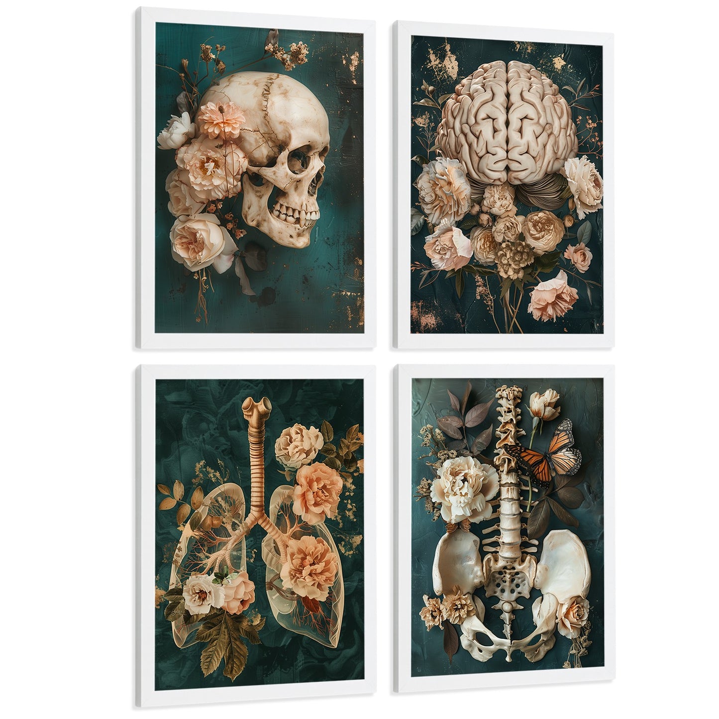 Set 4 Cuadros Decorativos de Anatomía Humana Láminas y Posters con Cráneo Cerebro Pulmones Tráquea Bronquios Pelvis Columna Diseño Floral Elegante