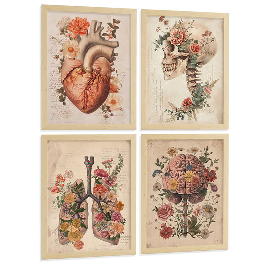 Set 4 Láminas Decoración para Pared Anatomía Vintage con Flores Cuadros de Corazón Pulmones Cráneo y Cerebro
