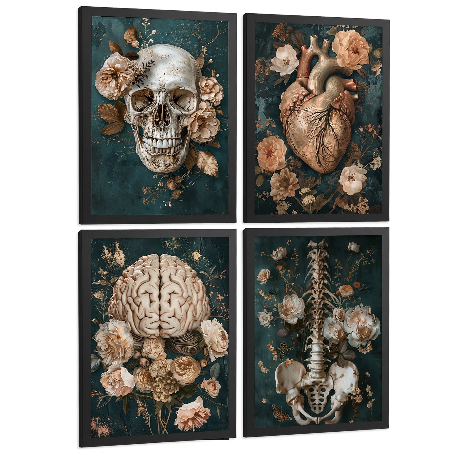 Set 4 Láminas Decorativas Anatomía Posters y Cuadros con Cráneo Corazón Cerebro Columna Vertebral Esqueleto Pelvis Estilo Clásico Floral Elegante