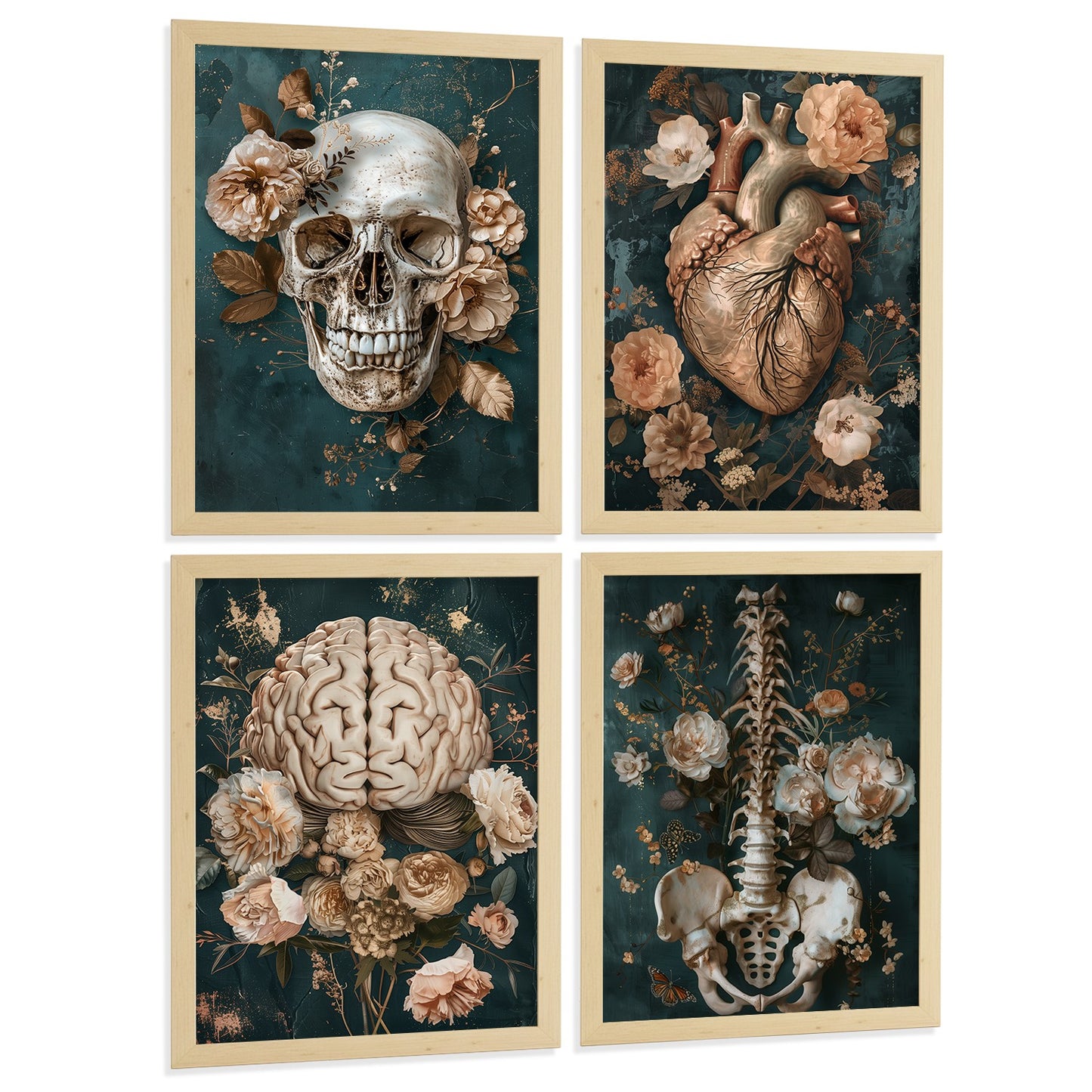 Set 4 Láminas Decorativas Anatomía Posters y Cuadros con Cráneo Corazón Cerebro Columna Vertebral Esqueleto Pelvis Estilo Clásico Floral Elegante