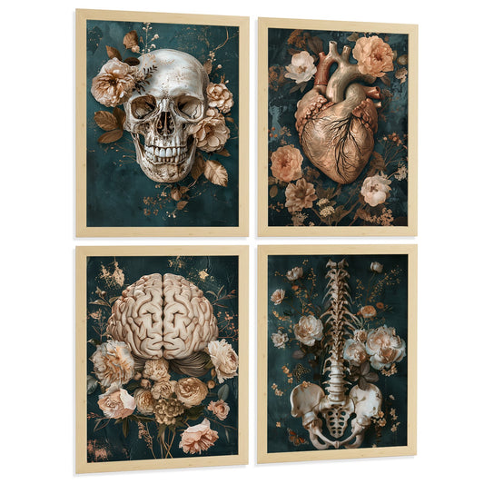 Set 4 Láminas Decorativas Anatomía Posters y Cuadros con Cráneo Corazón Cerebro Columna Vertebral Esqueleto Pelvis Estilo Clásico Floral Elegante