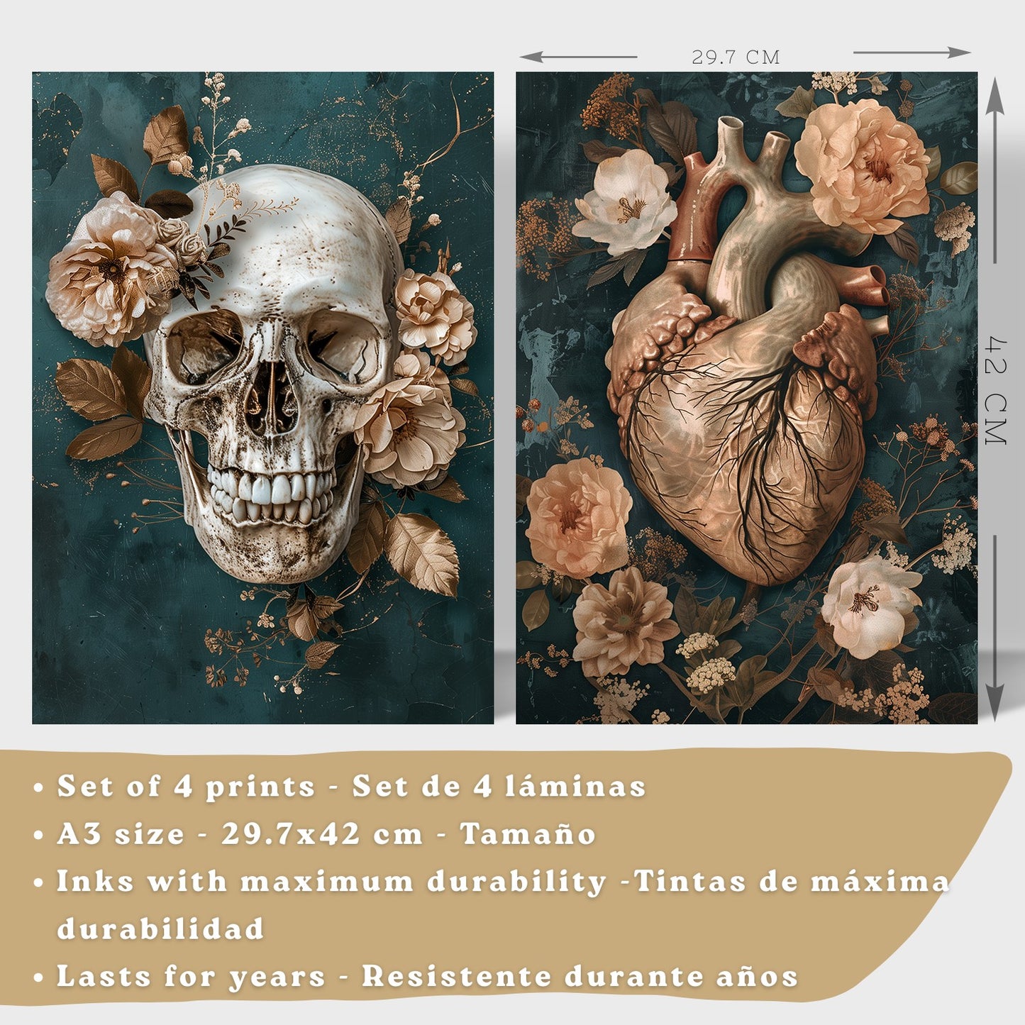 Set 4 Láminas Decorativas Anatomía Posters y Cuadros con Cráneo Corazón Cerebro Columna Vertebral Esqueleto Pelvis Estilo Clásico Floral Elegante