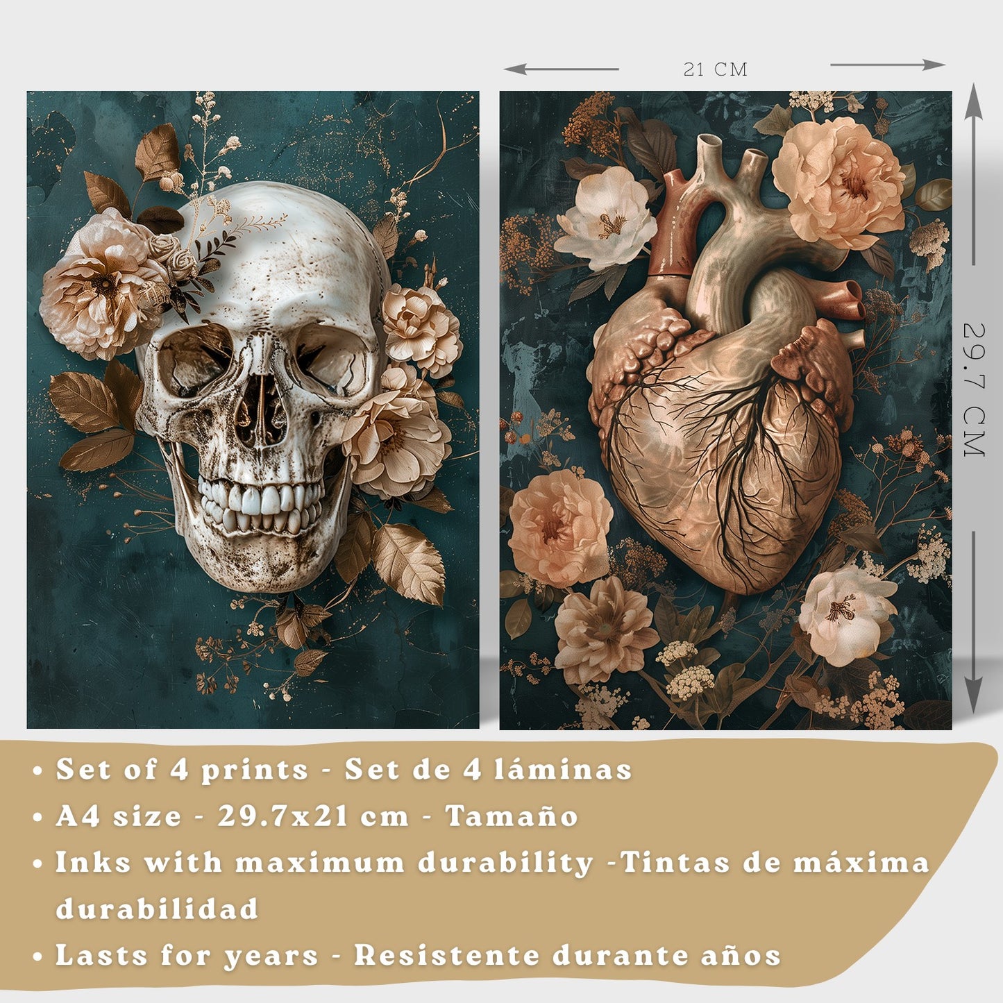 Set 4 Láminas Decorativas Anatomía Posters y Cuadros con Cráneo Corazón Cerebro Columna Vertebral Esqueleto Pelvis Estilo Clásico Floral Elegante