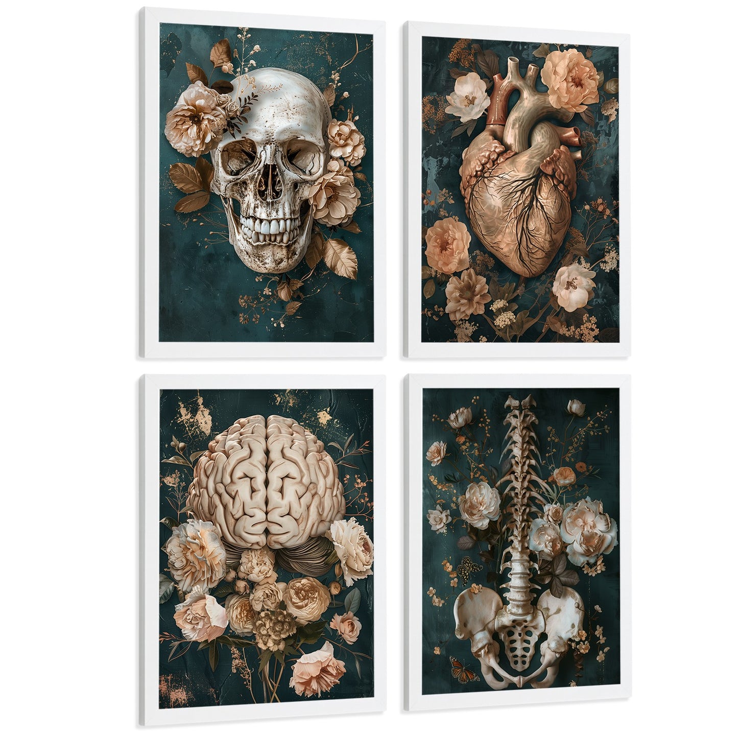 Set 4 Láminas Decorativas Anatomía Posters y Cuadros con Cráneo Corazón Cerebro Columna Vertebral Esqueleto Pelvis Estilo Clásico Floral Elegante