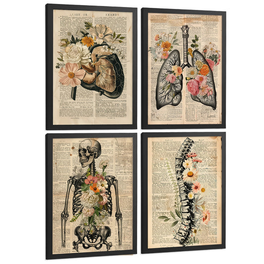 Set 4 Posters de Anatomía Láminas y Cuadros Decorativos con Higado Pulmones Sistema Respiratorio Esqueleto Cráneo Columna Estilo Vintage Periódico