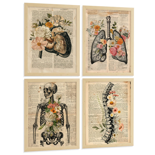 Set 4 Posters de Anatomía Láminas y Cuadros Decorativos con Higado Pulmones Sistema Respiratorio Esqueleto Cráneo Columna Estilo Vintage Periódico