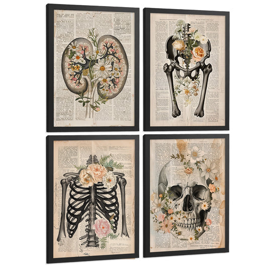 Set 4 Posters de Anatomía Vintage Láminas y Cuadros con Riñones Pelvis Huesos Cadera Costillas Columna Vertebral Cráneo Estilo Libro Antiguo Decoración Tamañ