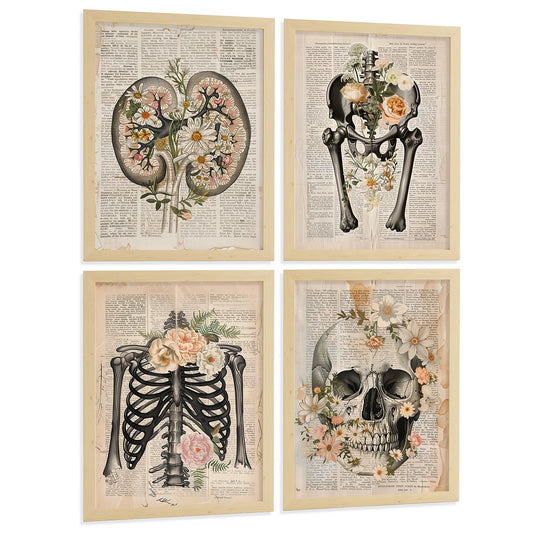 Set 4 Posters de Anatomía Vintage Láminas y Cuadros con Riñones Pelvis Huesos Cadera Costillas Columna Vertebral Cráneo Estilo Libro Antiguo Decoración Tamañ