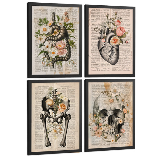 Set 4 Cuadros de Anatomía Humana Láminas Botánicas Vintage con Órganos Corazón Sistema Digestivo Cráneo y Pelvis Decoración Hogar
